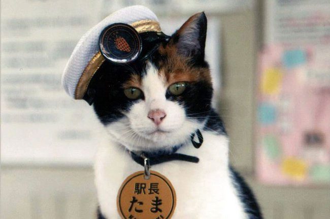Stationmaster Tama
