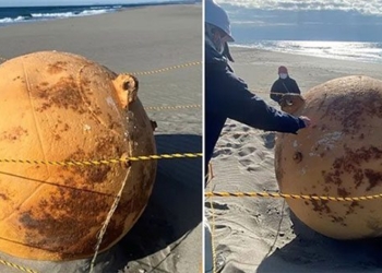 metal ball mystery on japan beach 125985