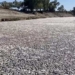 millions of fish die in australian river horrific sight 126472