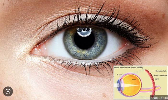 3D printed eye tissue