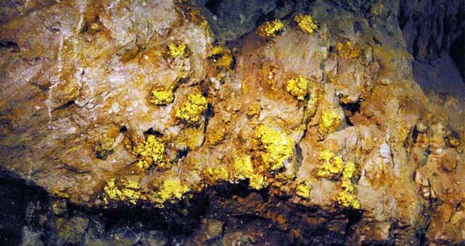 Gold Mine