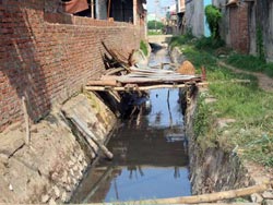 moitruong