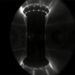 moment of thermophilic reaction plasma formation 125692