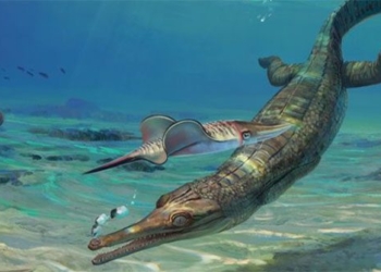 monster eating meat ky jura appears from the ancestor ma chau ho con toi at 125671