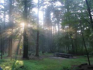 Sunlight Cleans Earth's Atmosphere