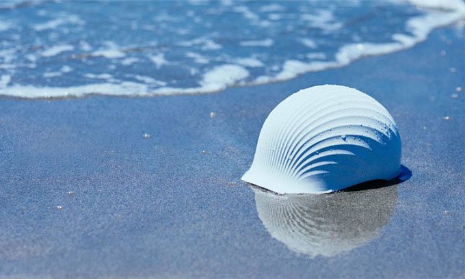 Helmet made from recycled scallop shells.