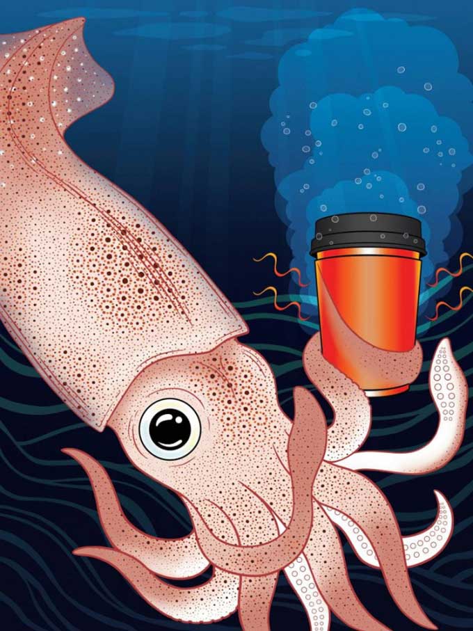 Cuttlefish inspire the University of California, Irvine to develop heat-retaining material.