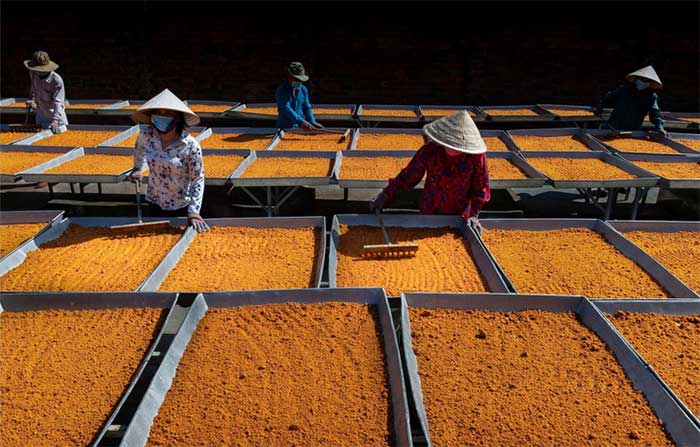 Drying shrimp salt at a local processing facility