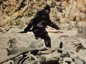 mysteries surrounding large footed creatures 6155