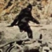 mysteries surrounding large footed creatures 6155
