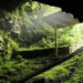 mystery of the assassination in the cave more than 1 000 years ago 126488