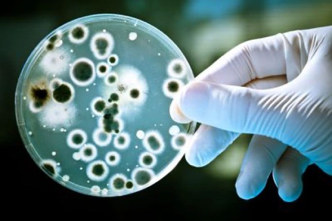 The halicin compound discovered by AI could be a breakthrough for the biomedical field in the near future.