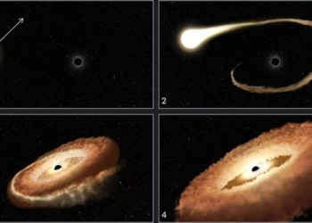 nasa records images of a black hole devouring a star 125322