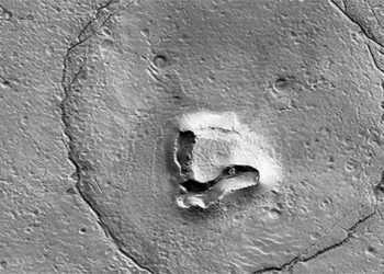 nasa ship captures bear face on planet 125458