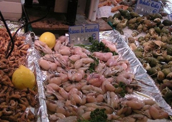 natural frog risk extinction as european people eat frog legs 126301