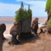new brunswick tourists can encounter historical monsters 126128
