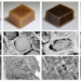new improved wood type can generate electricity when dried 124698