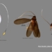 new type named after pokemon character 126314