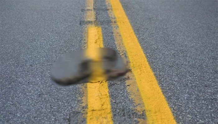 Removing Dead Animals from the Streets