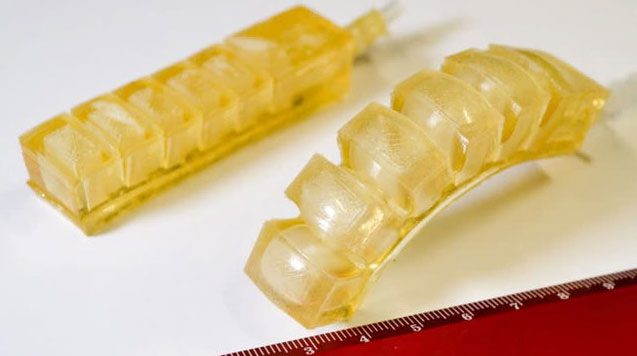 Robotic finger made from gelatin and glycerin.