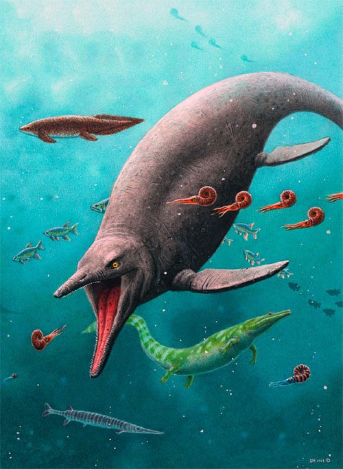 Graphic depiction of ancient ichthyosaurs