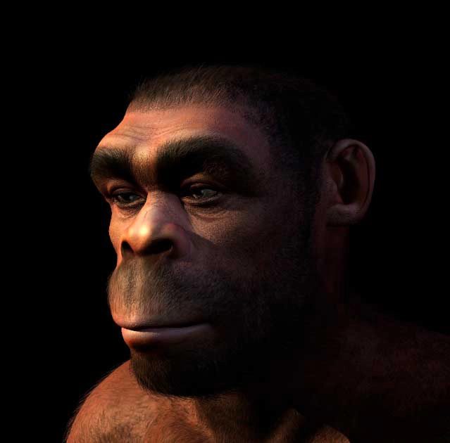 Homo erectus reached the Aegean Islands by boat at least 450,000 years ago.