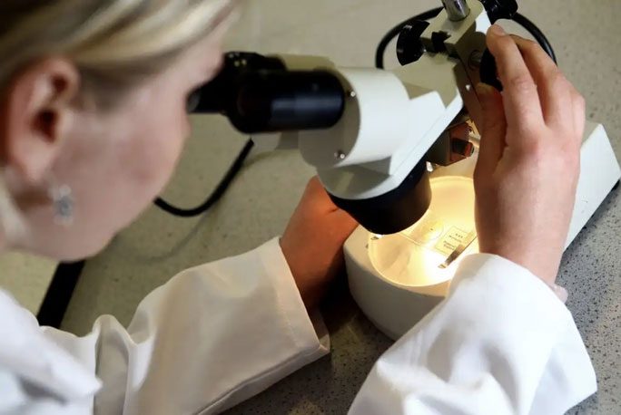 Scientists discover extrachromosomal DNA acting as a cancer-causing gene.