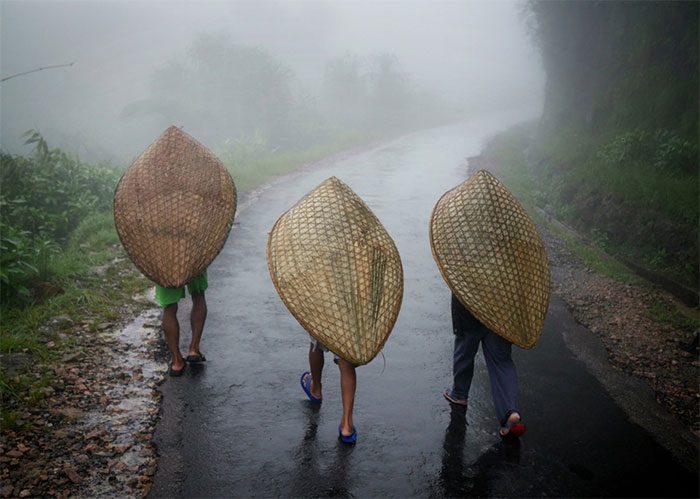 Wettest place: Mawsynram, Meghalaya (India)