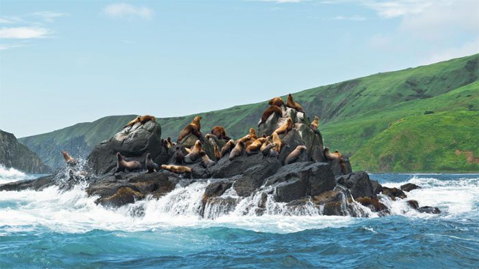 Moneron, Sakhalin Region