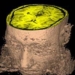 nut mac nuts to keep color in brain 6386