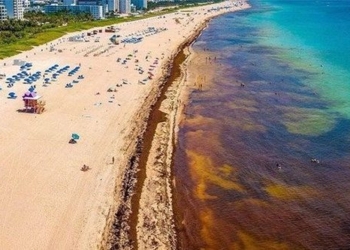 ocean extends more than 8000km threatening beaches in the us 126396
