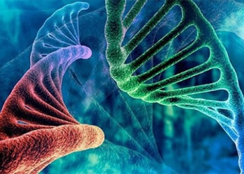 our gene is full of junk dna why not delete it 126104