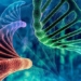 our gene is full of junk dna why not delete it 126104