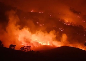 ozone layer is being destroyed from 3 5 after the summer forest fire until now 126358