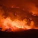 ozone layer is being destroyed from 3 5 after the summer forest fire until now 126358