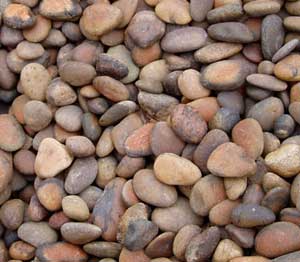 Complete pebbles often have similar shapes, even as they shrink.