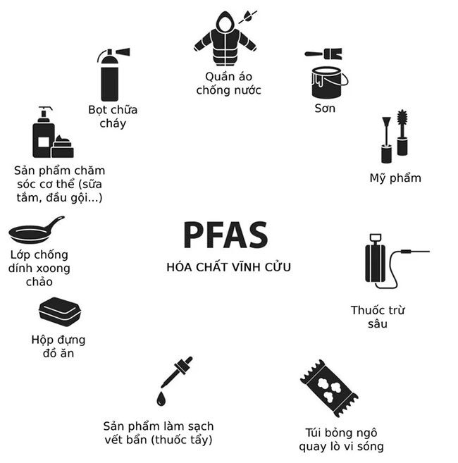 PFAS chemicals are found in everyday items