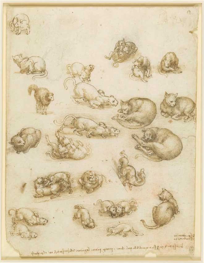 Sketches by master Leonardo da Vinci