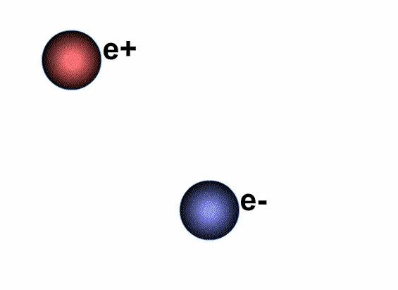 Ions that lose electrons become positively charged, referred to as positive ions.