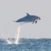 photographer surprisingly captures rare scenery 125490