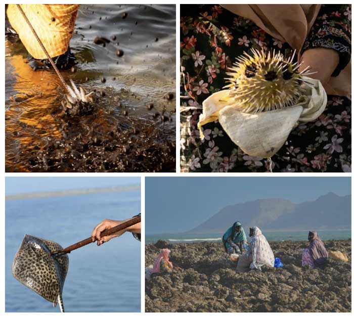 Women showcasing their catch