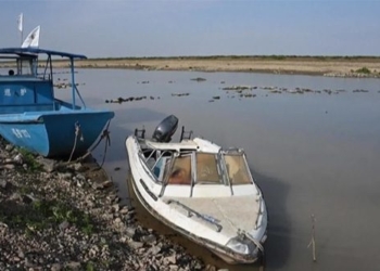 plan to build threaten bird migration paradise 125016