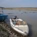plan to build threaten bird migration paradise 125016