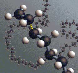 Polymer molecule