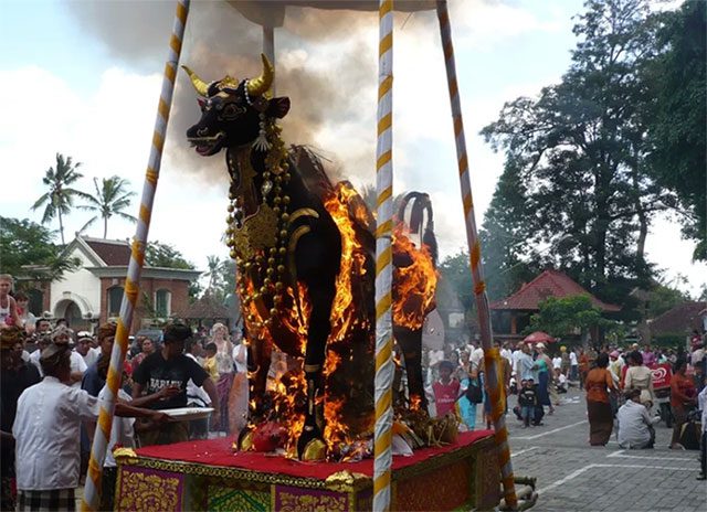 The cow-shaped coffin in Bali.