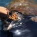 rare endangered species surviving climate change 126775