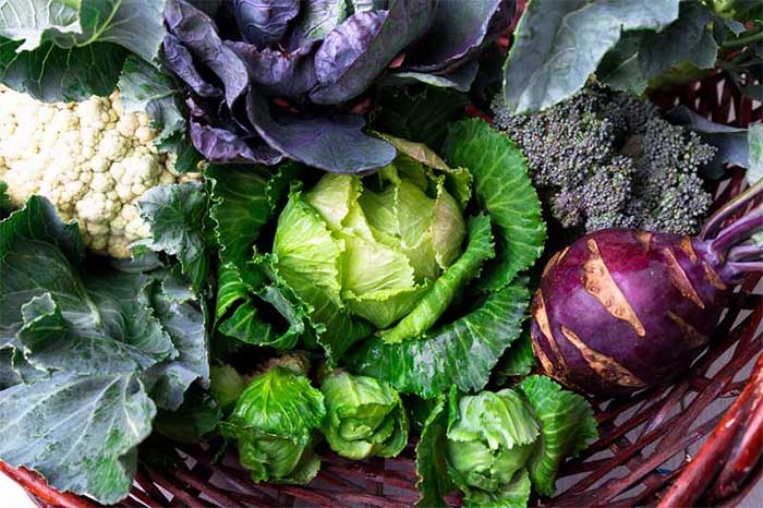 The glucosinolates in cruciferous vegetables have the ability to kill cancer cells and tumors.