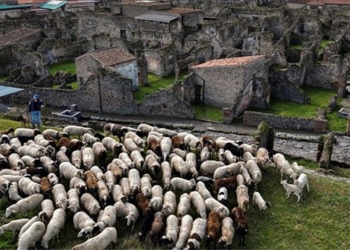 rescue helping researchers with the intention of preserving ancient ruins 126274