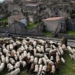 rescue helping researchers with the intention of preserving ancient ruins 126274