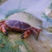 research shows this is a seafood dish loved by ancestors 125722